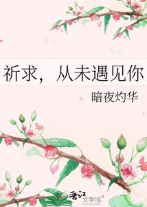 祈求,从未遇见你