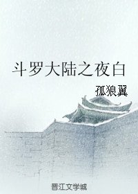 （斗羅大陸同人）斗羅大陸之夜白