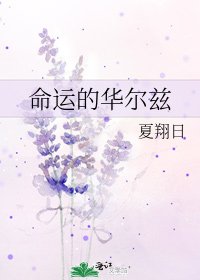 命運的華爾茲